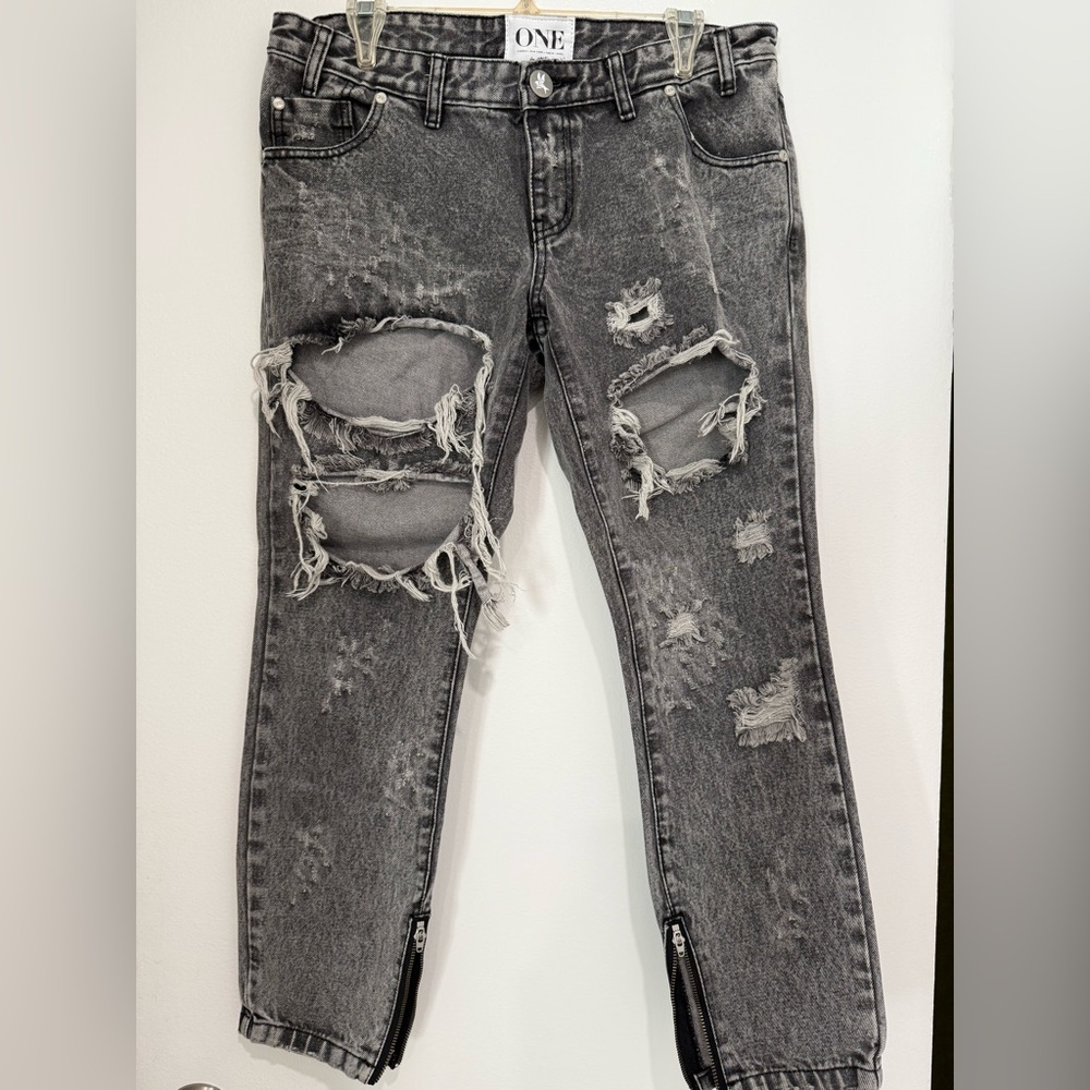 One Teaspoon Trashed Freebird jeans.